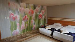 Отель Hotel Dobrudja Добрич Двухместный номер с 1 кроватью или 2 отдельными кроватями-1